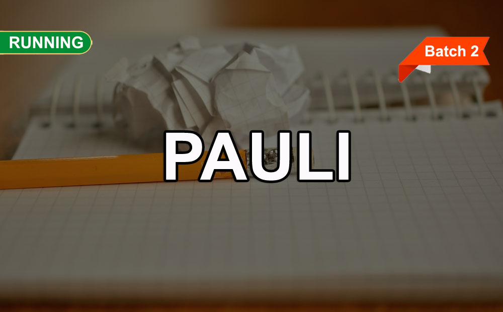 Training PAULI Online (Batch 2)