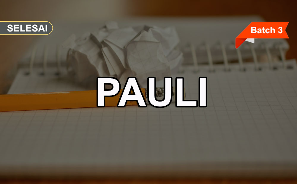 Training PAULI Online (Batch 3)
